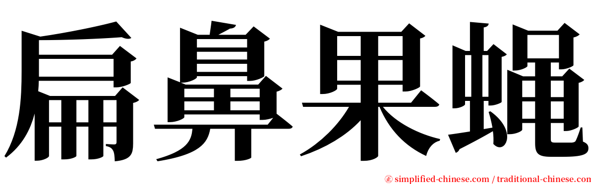 扁鼻果蝇 serif font