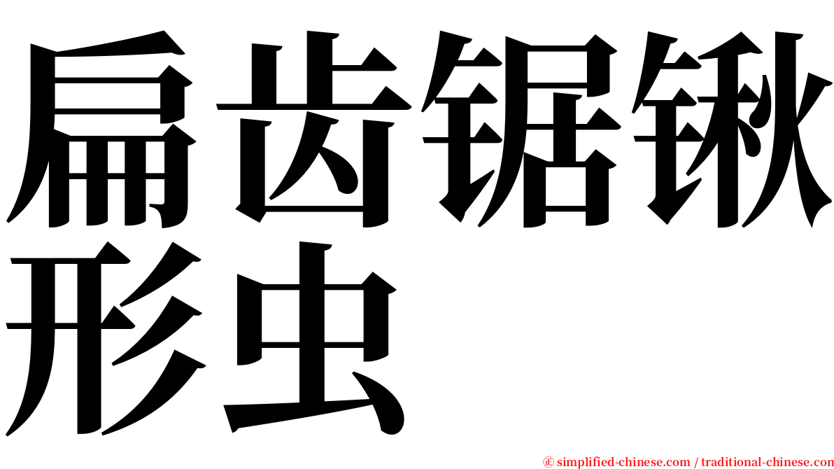 扁齿锯锹形虫 serif font