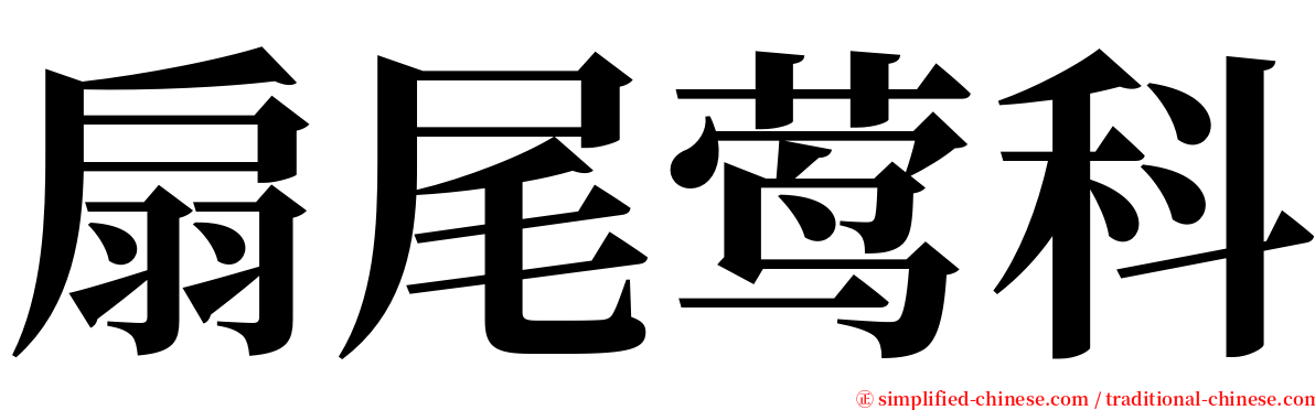 扇尾莺科 serif font