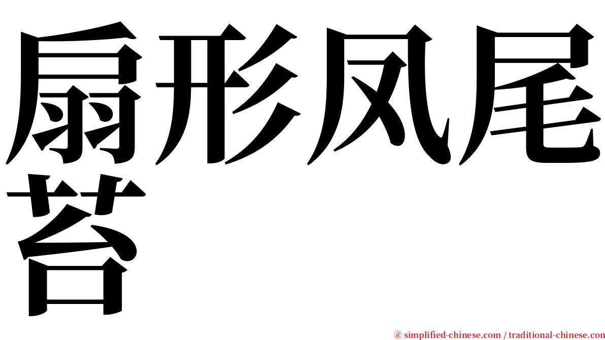 扇形凤尾苔 serif font