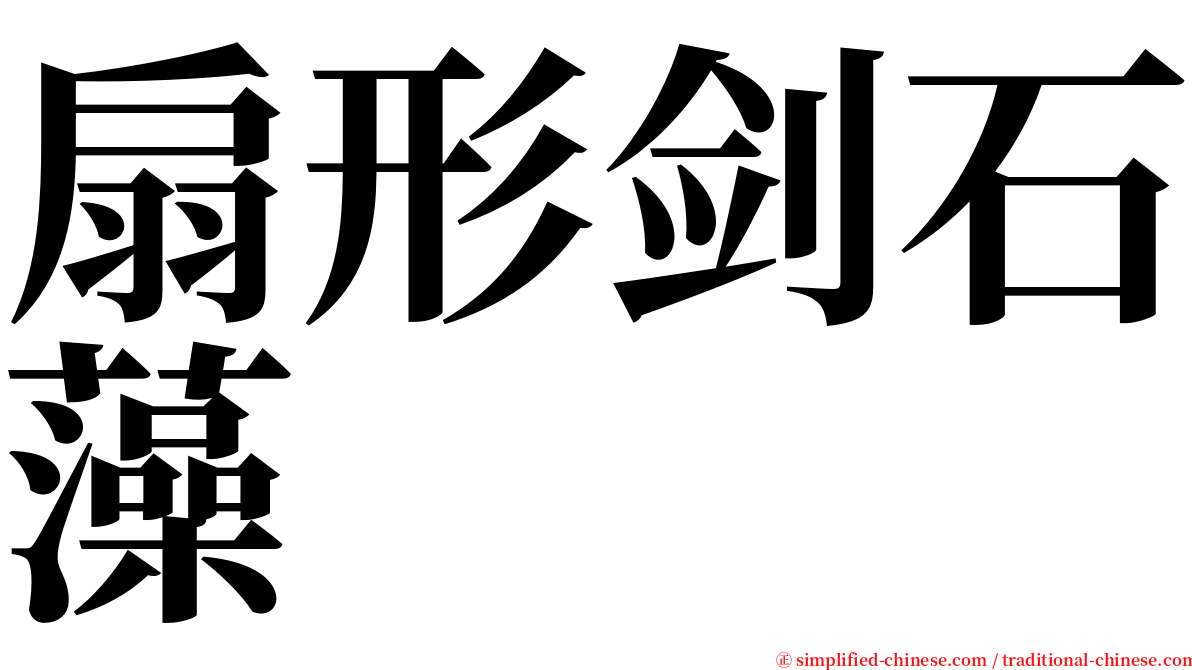 扇形剑石藻 serif font