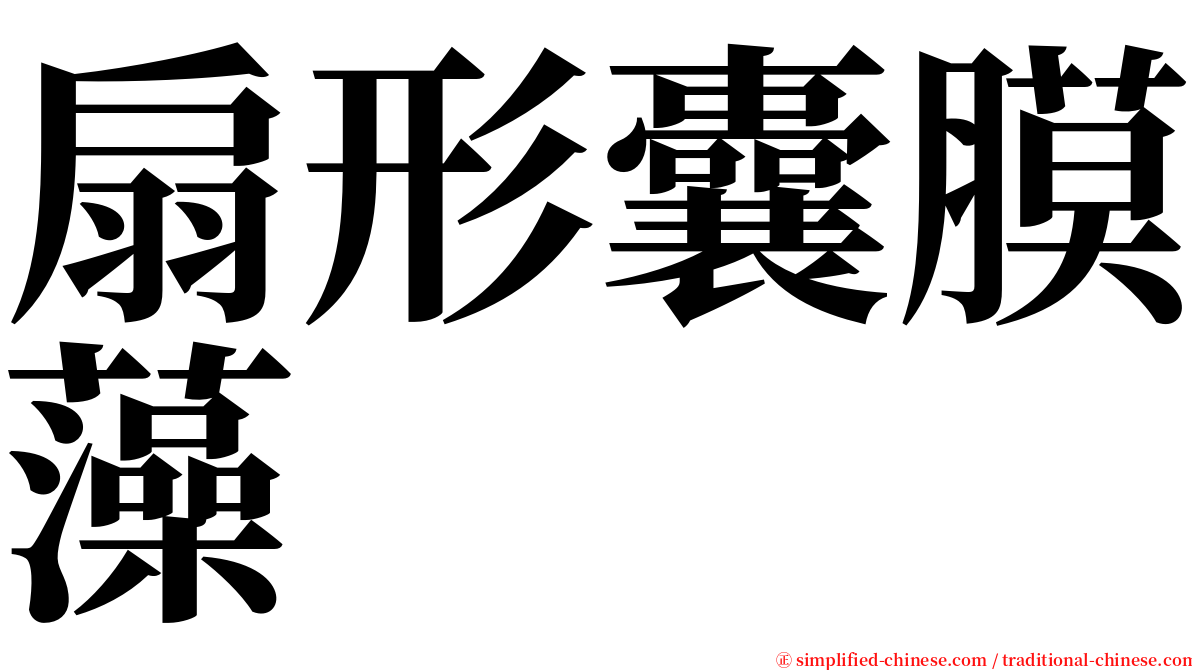 扇形囊膜藻 serif font