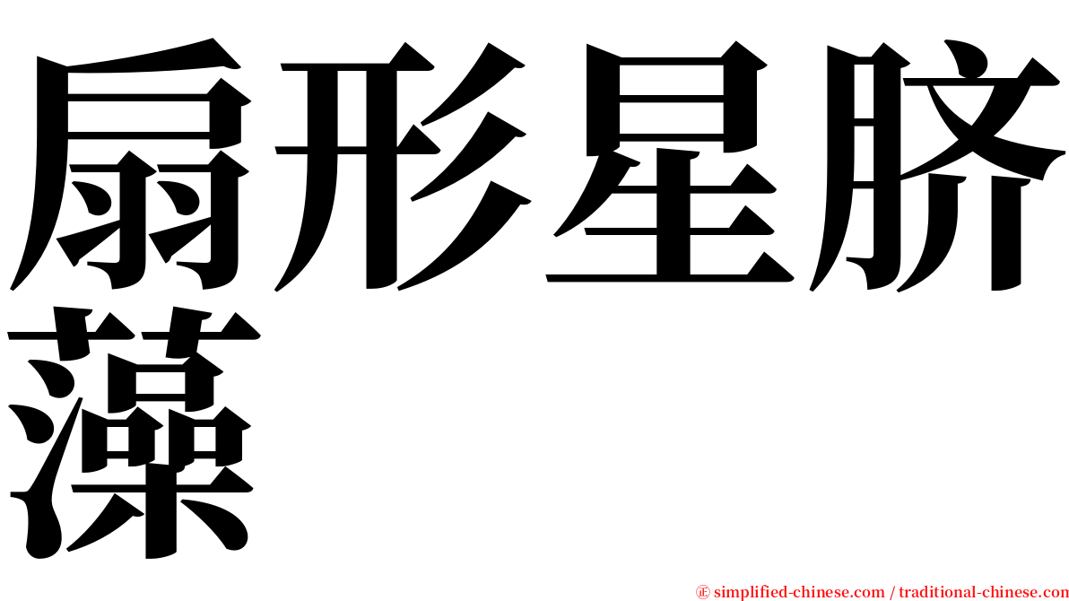 扇形星脐藻 serif font