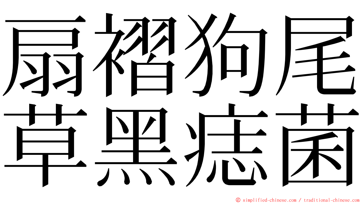 扇褶狗尾草黑痣菌 ming font