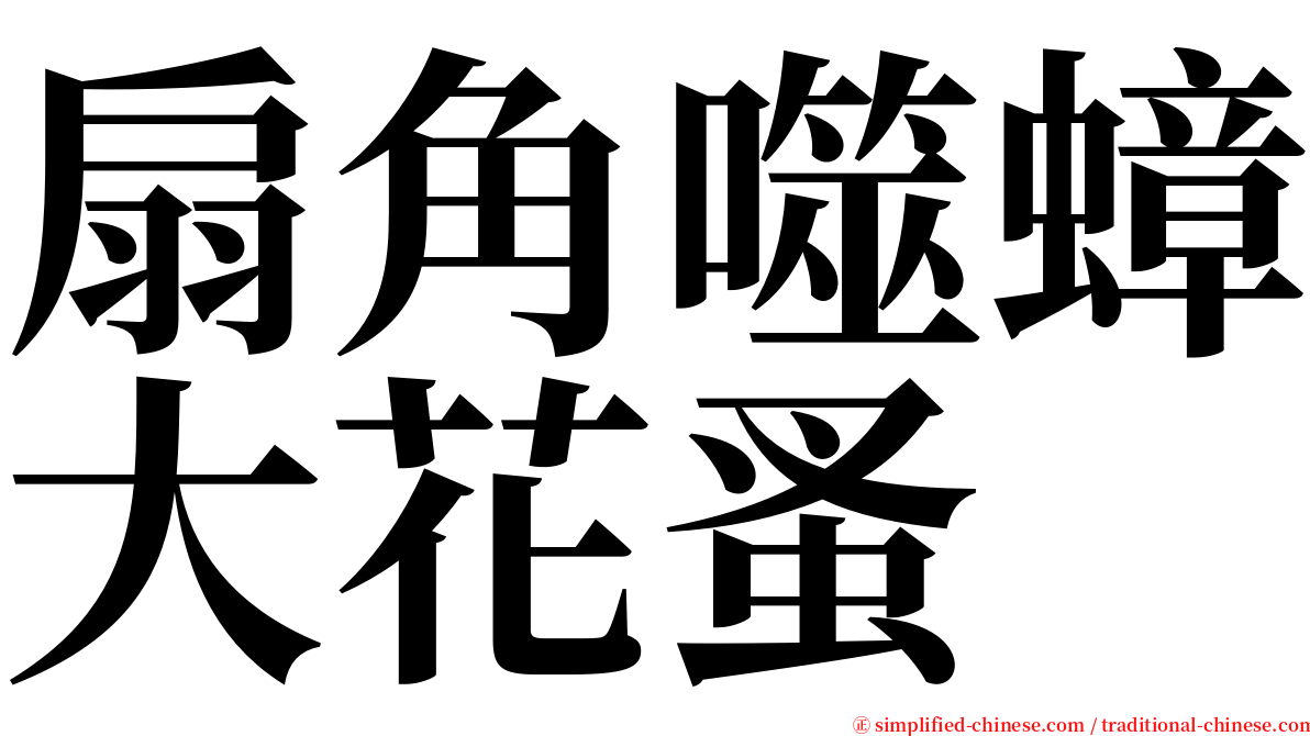 扇角噬蟑大花蚤 serif font