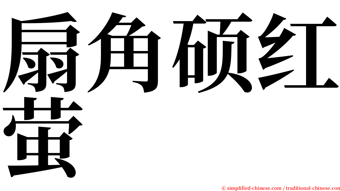 扇角硕红萤 serif font