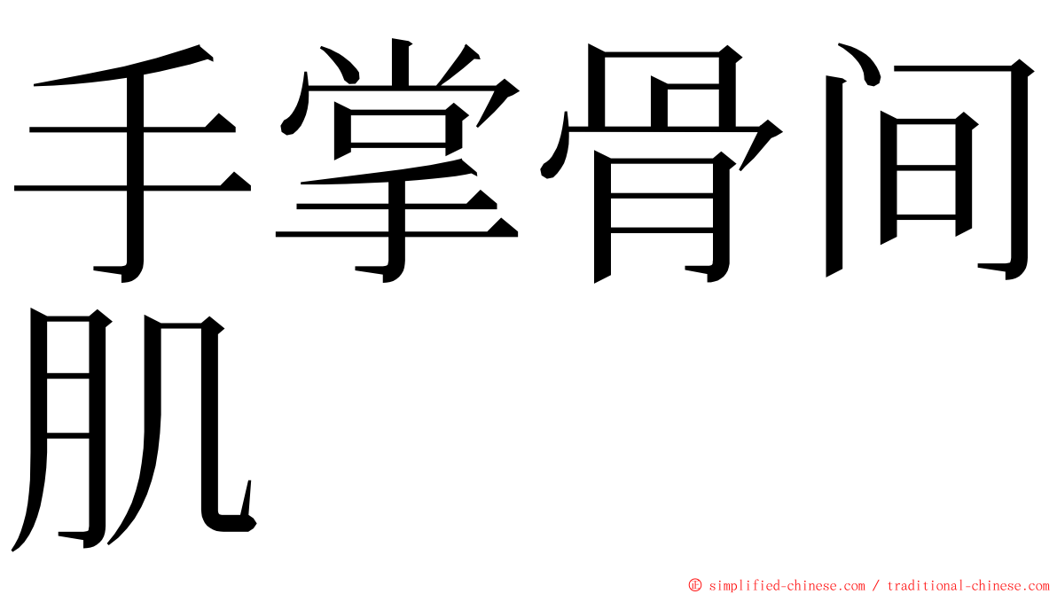 手掌骨间肌 ming font