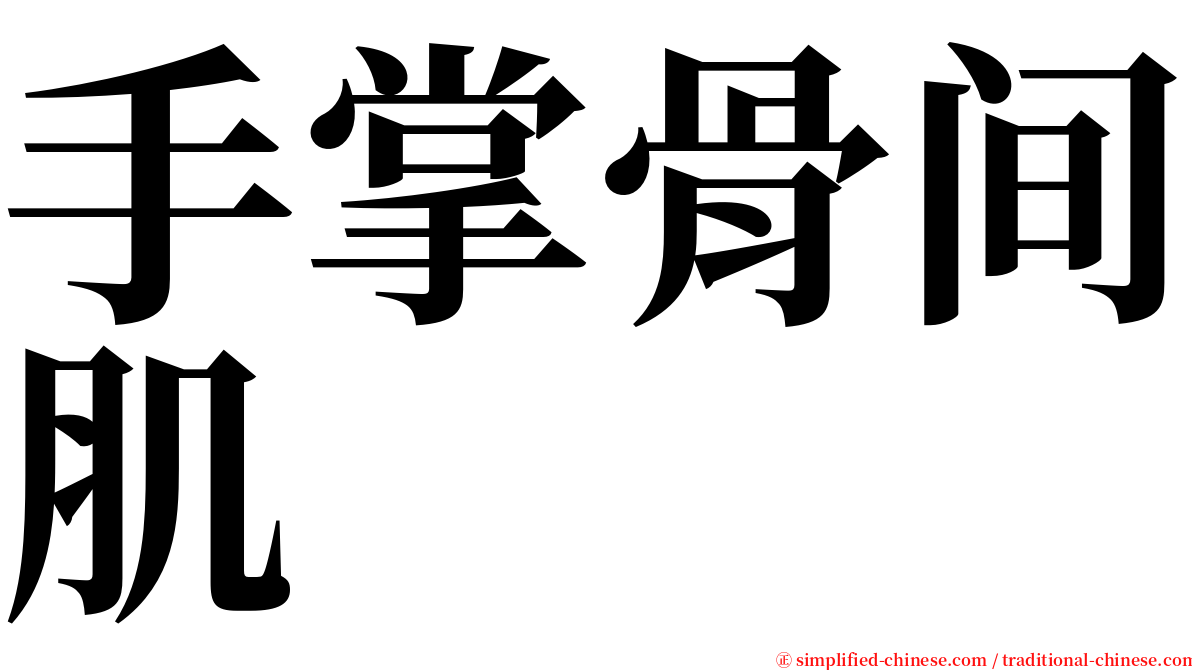 手掌骨间肌 serif font