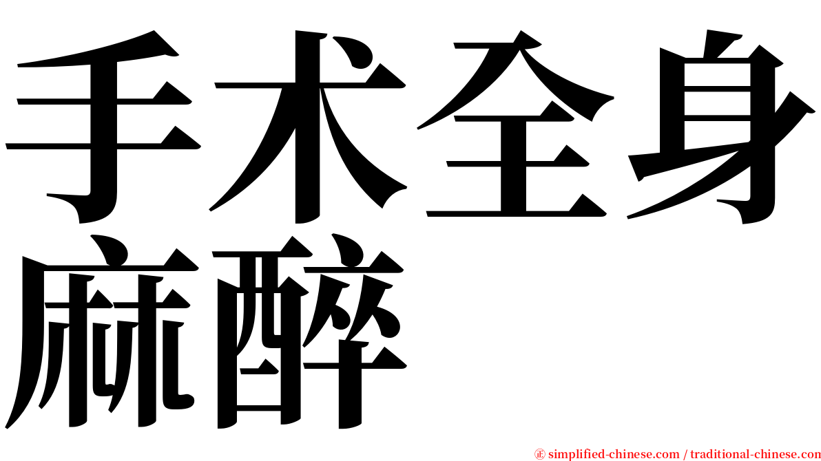 手术全身麻醉 serif font