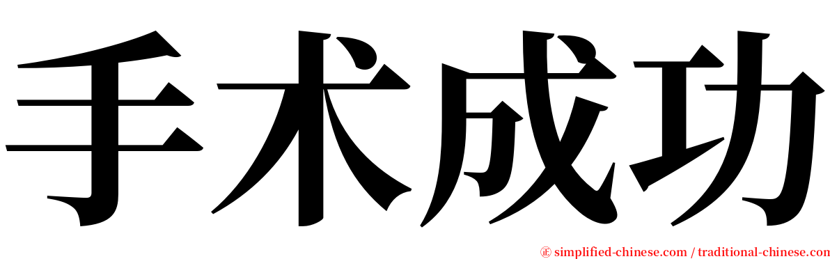 手术成功 serif font