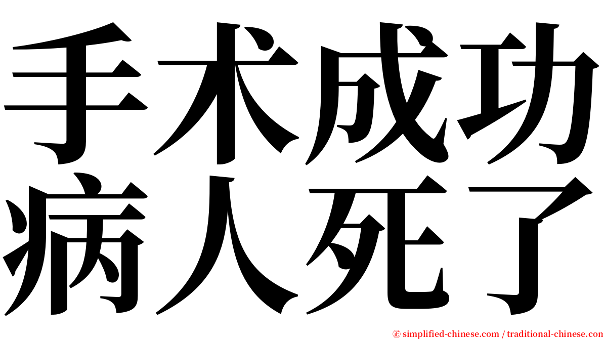 手术成功病人死了 serif font