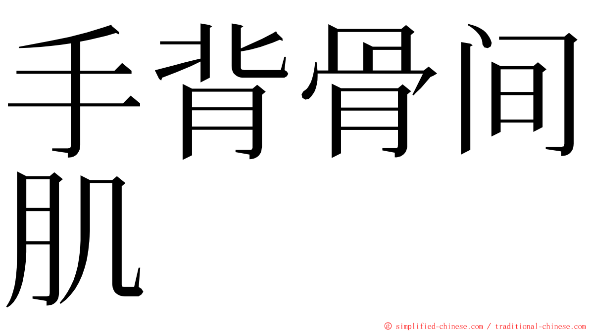 手背骨间肌 ming font