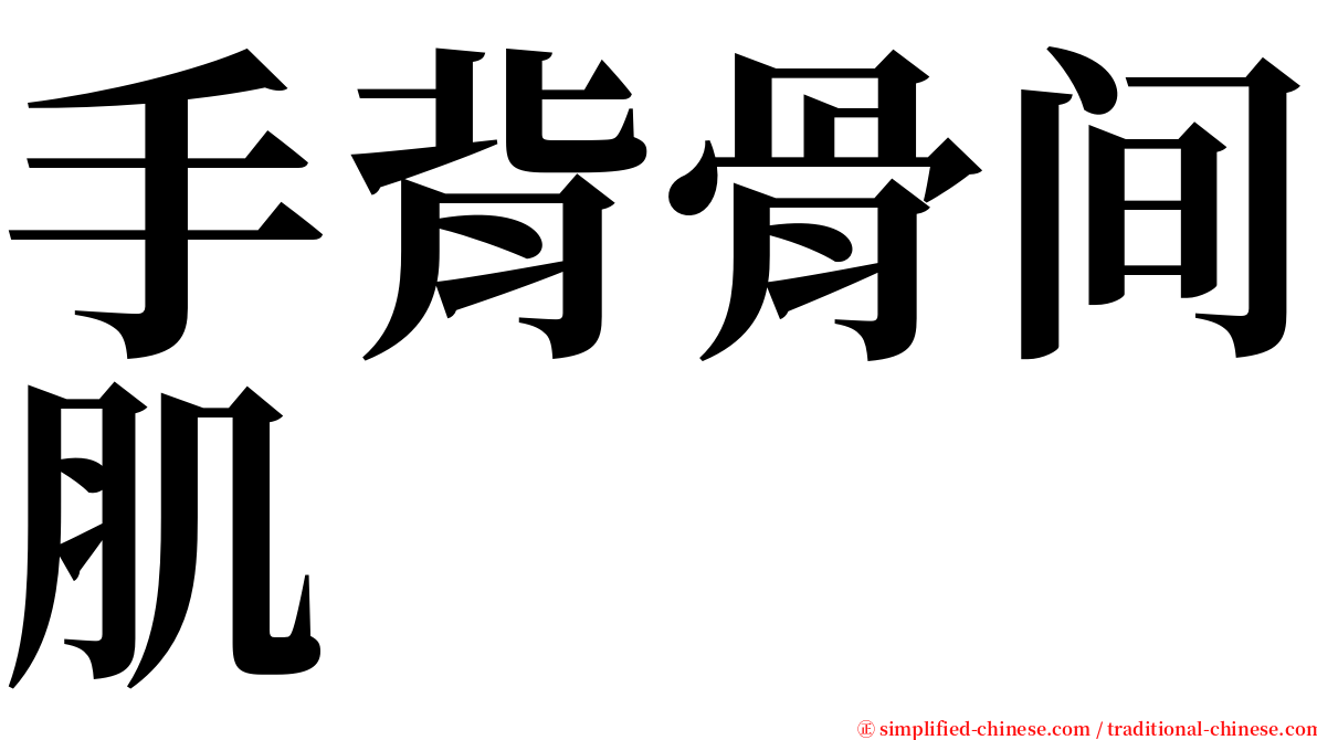 手背骨间肌 serif font