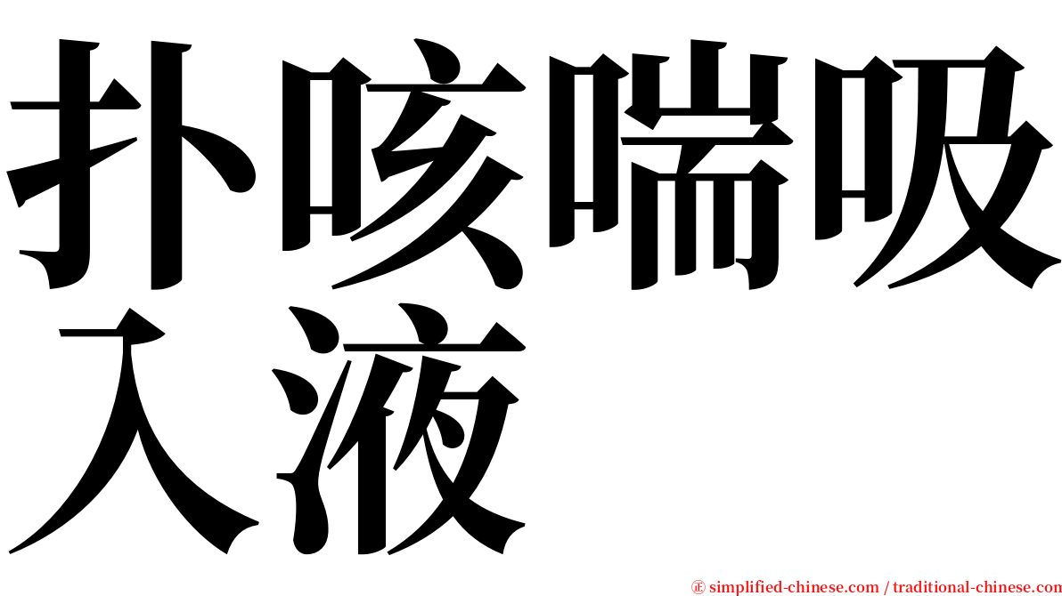 扑咳喘吸入液 serif font