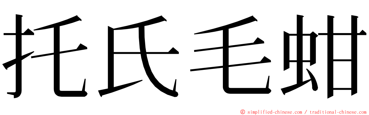 托氏毛蚶 ming font