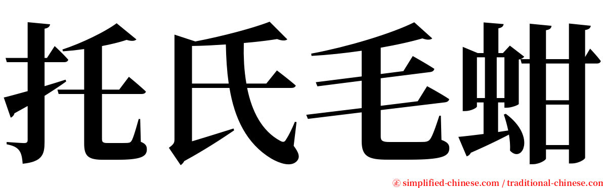 托氏毛蚶 serif font