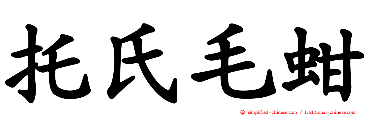 托氏毛蚶