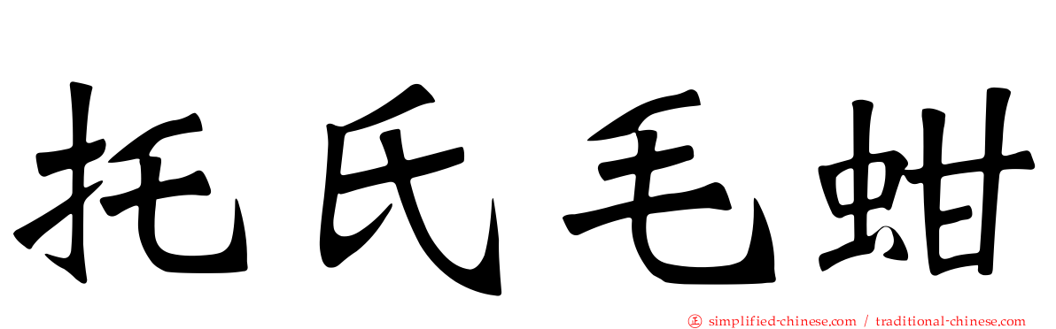 托氏毛蚶