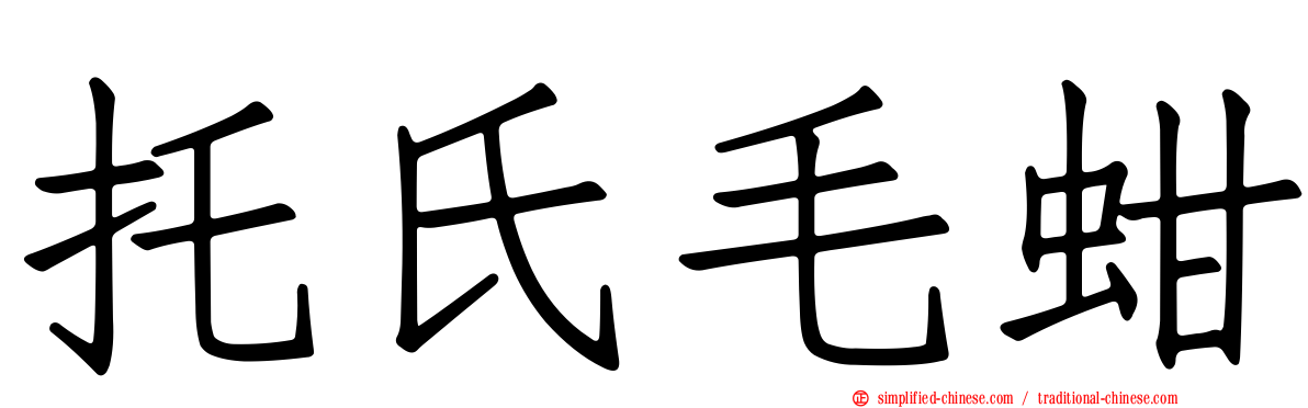 托氏毛蚶