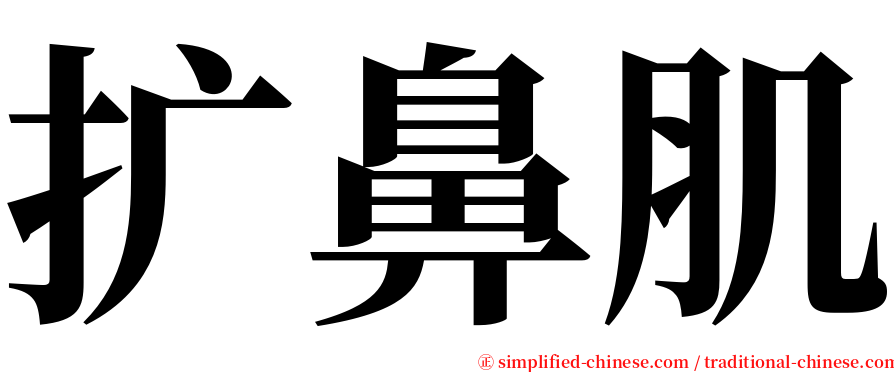 扩鼻肌 serif font