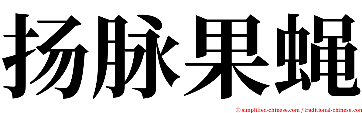 扬脉果蝇 serif font