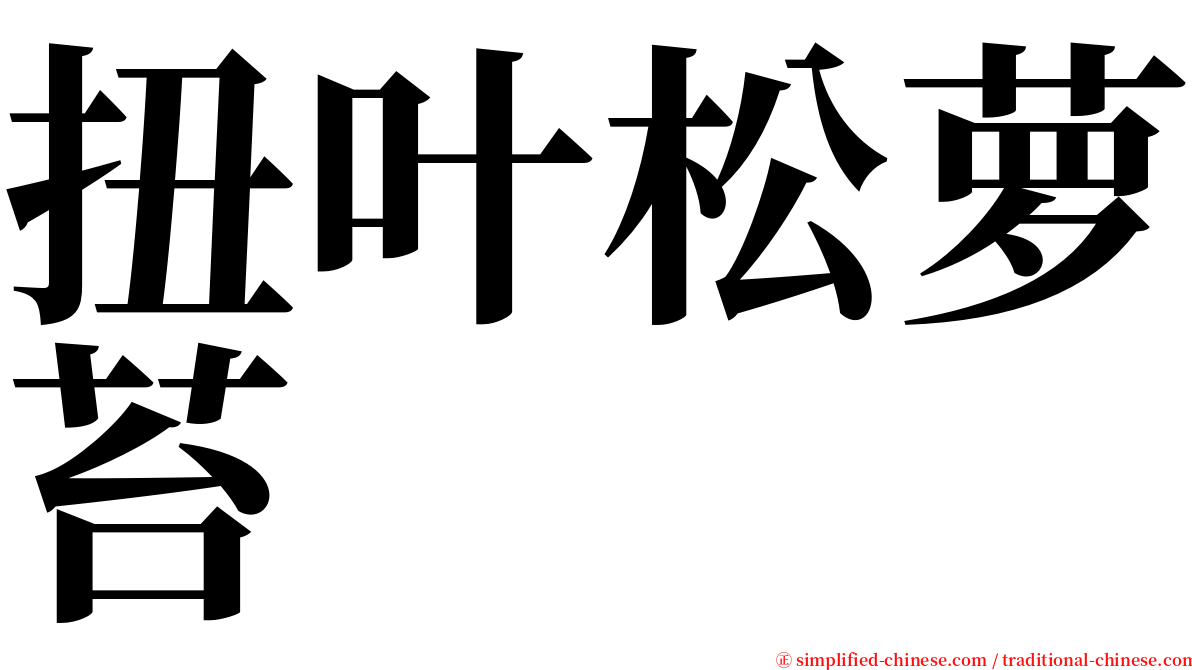 扭叶松萝苔 serif font