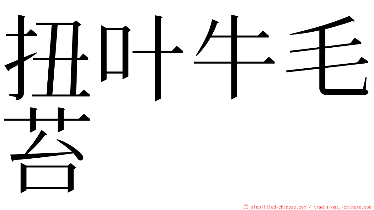 扭叶牛毛苔 ming font