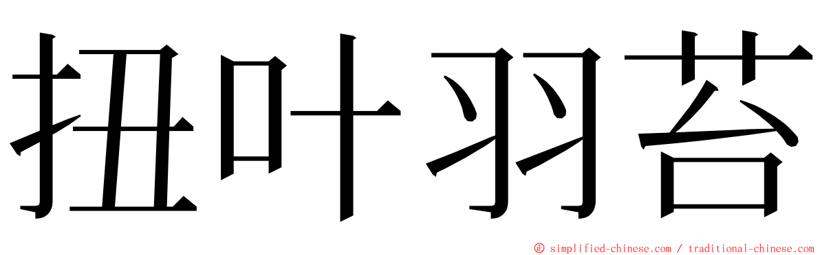 扭叶羽苔 ming font