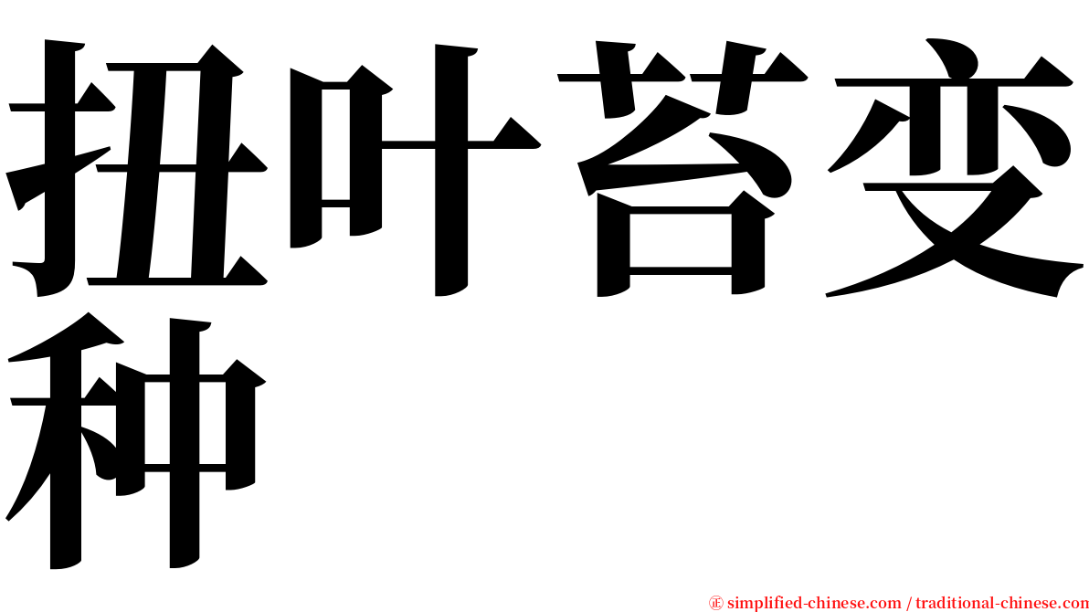 扭叶苔变种 serif font