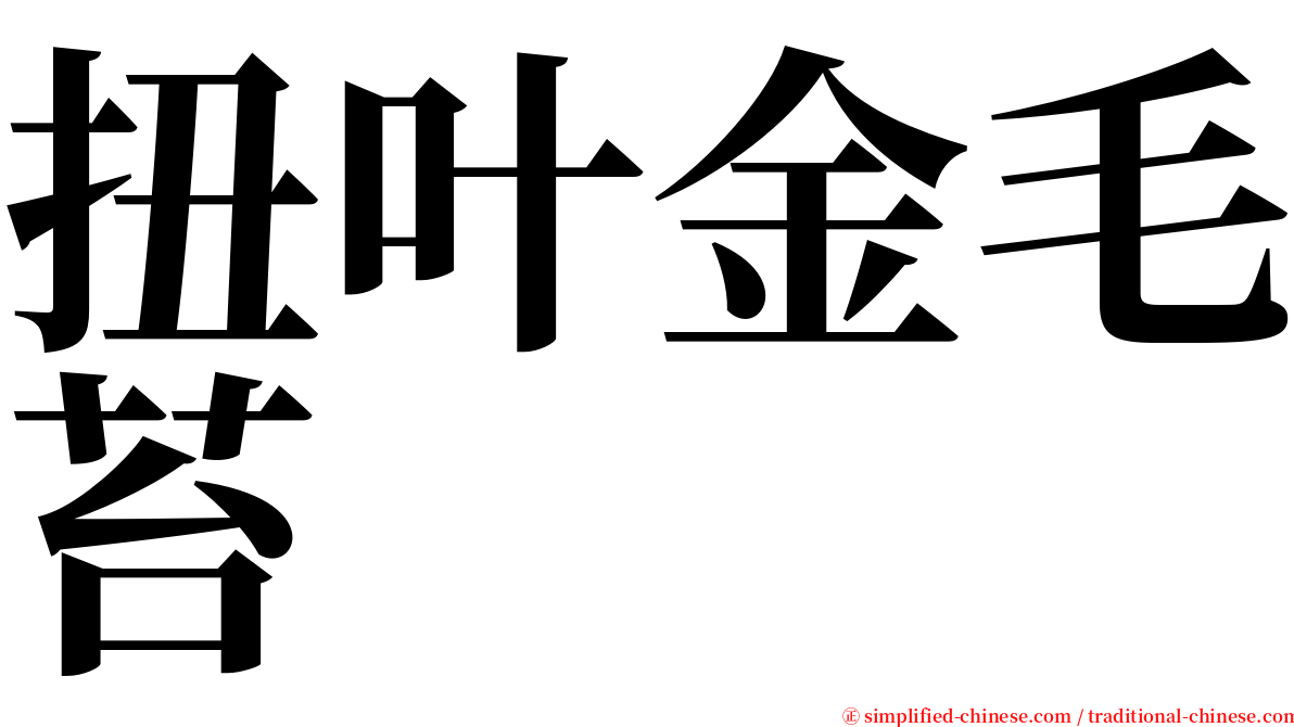 扭叶金毛苔 serif font