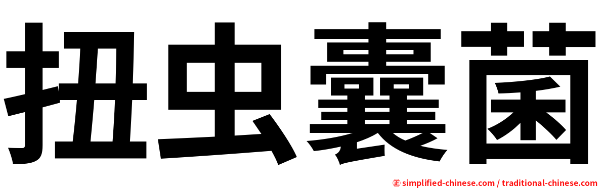 扭虫囊菌
