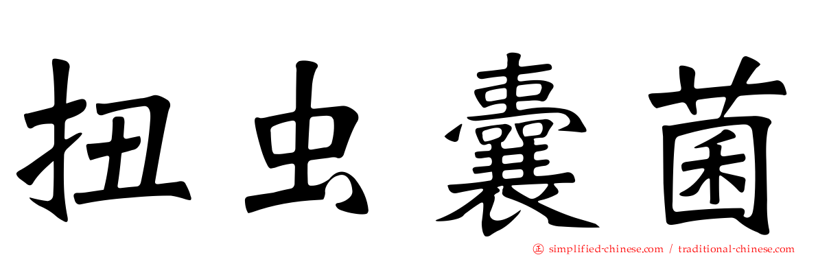 扭虫囊菌