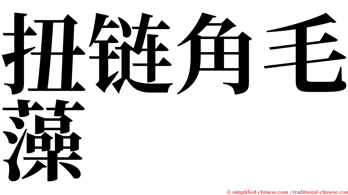 扭链角毛藻 serif font