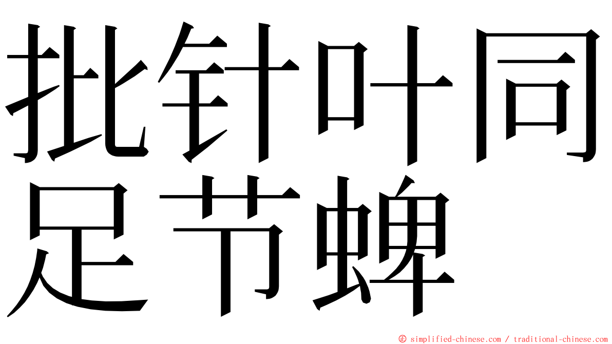 批针叶同足节蜱 ming font