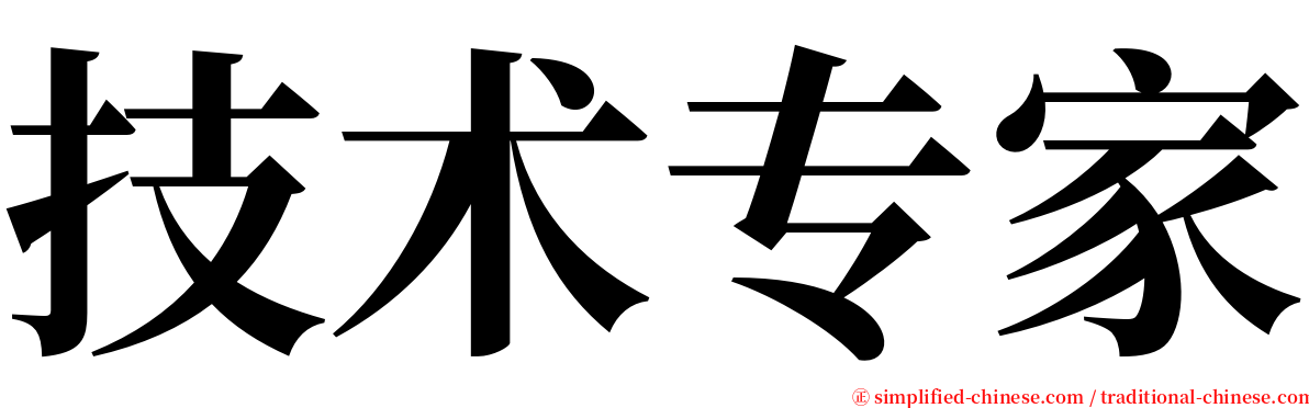 技术专家 serif font