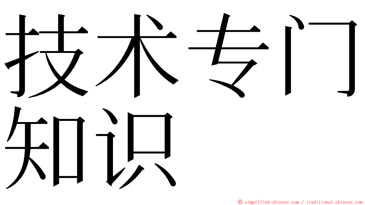 技术专门知识 ming font