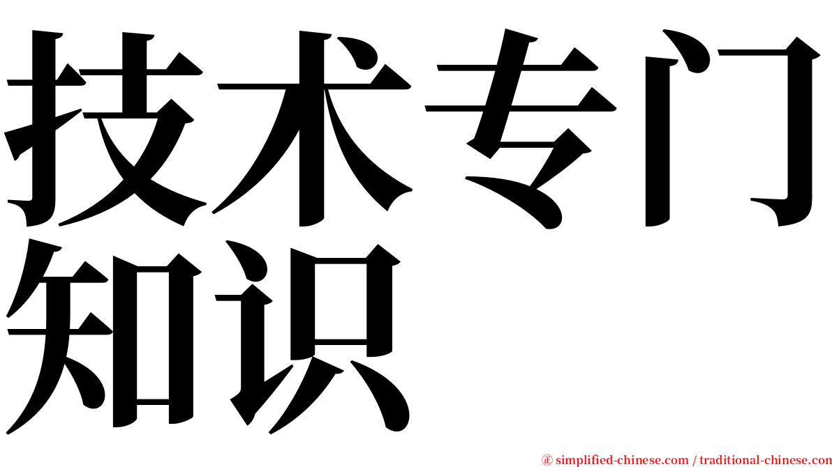 技术专门知识 serif font