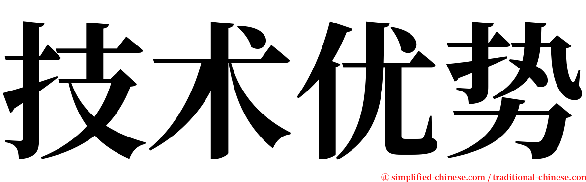 技术优势 serif font