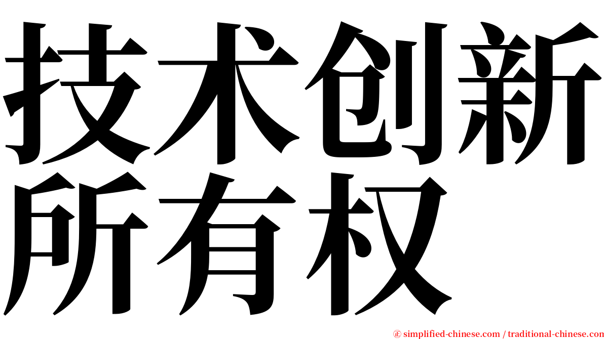 技术创新所有权 serif font