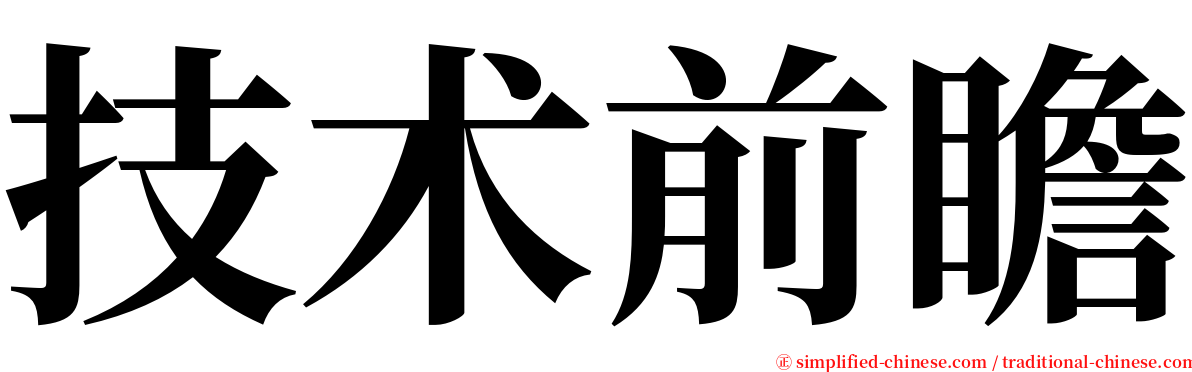 技术前瞻 serif font