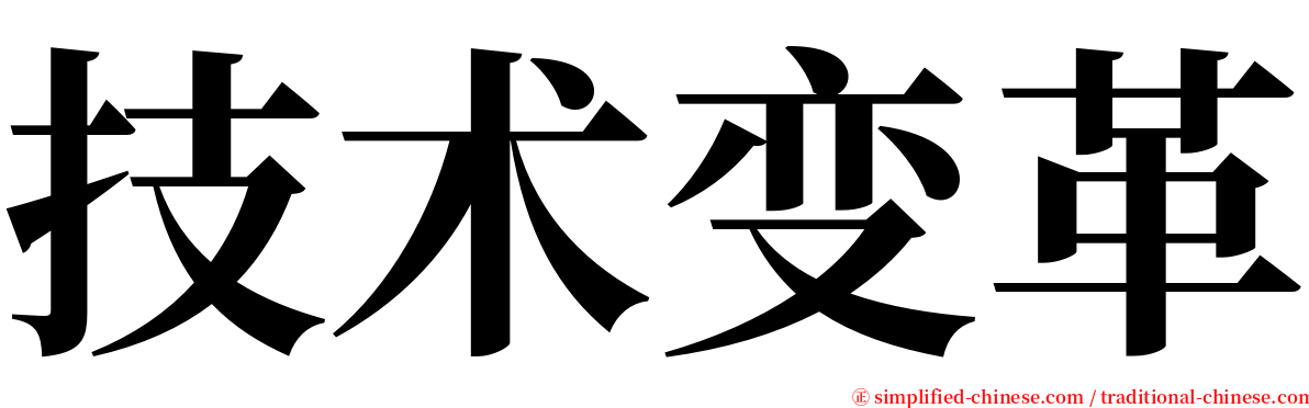 技术变革 serif font