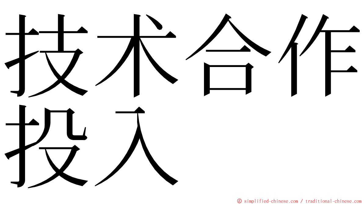 技术合作投入 ming font