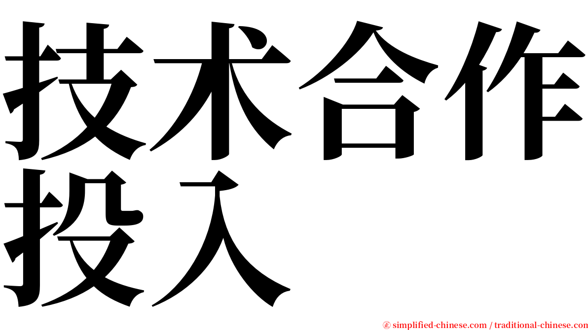 技术合作投入 serif font