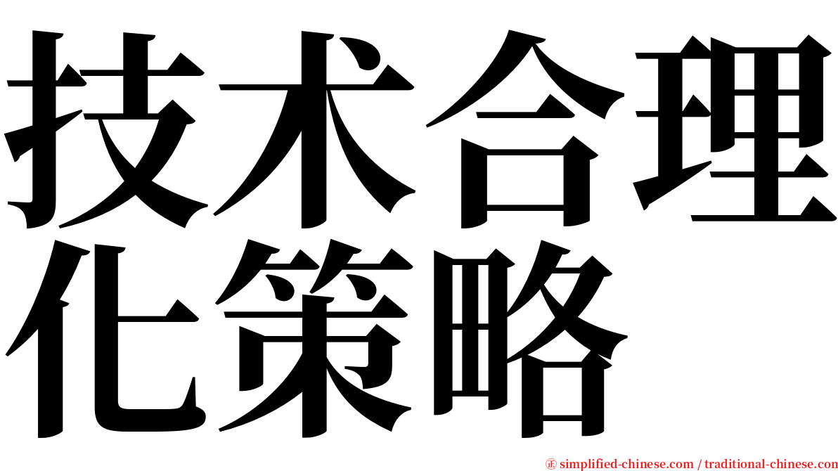 技术合理化策略 serif font