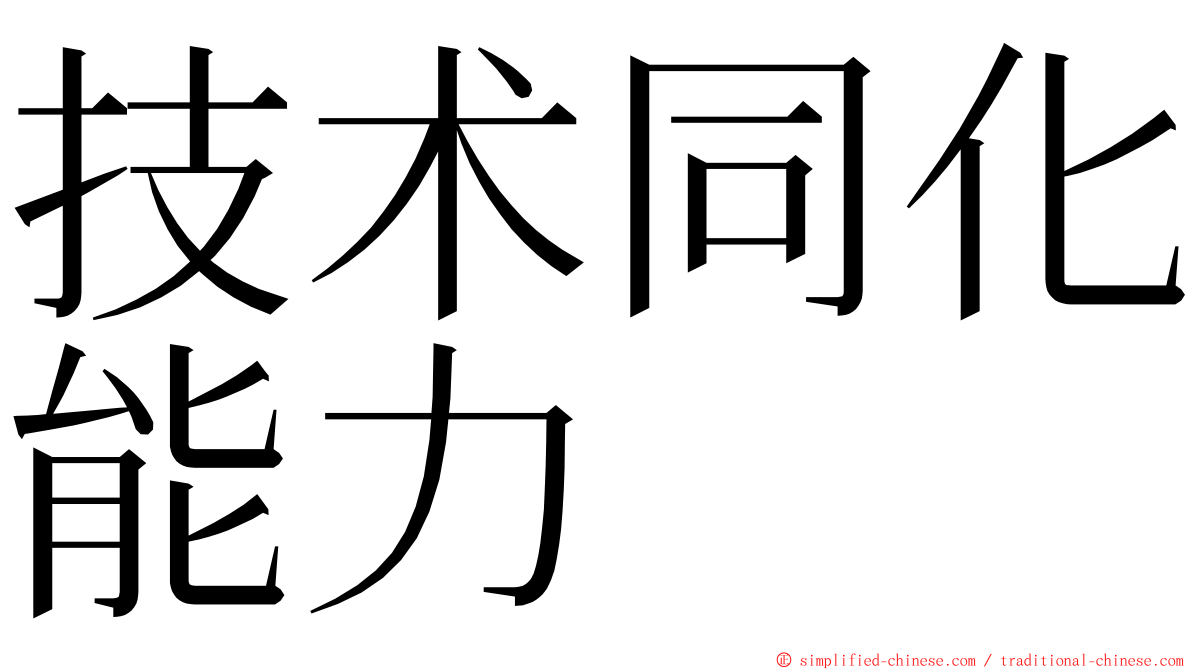 技术同化能力 ming font