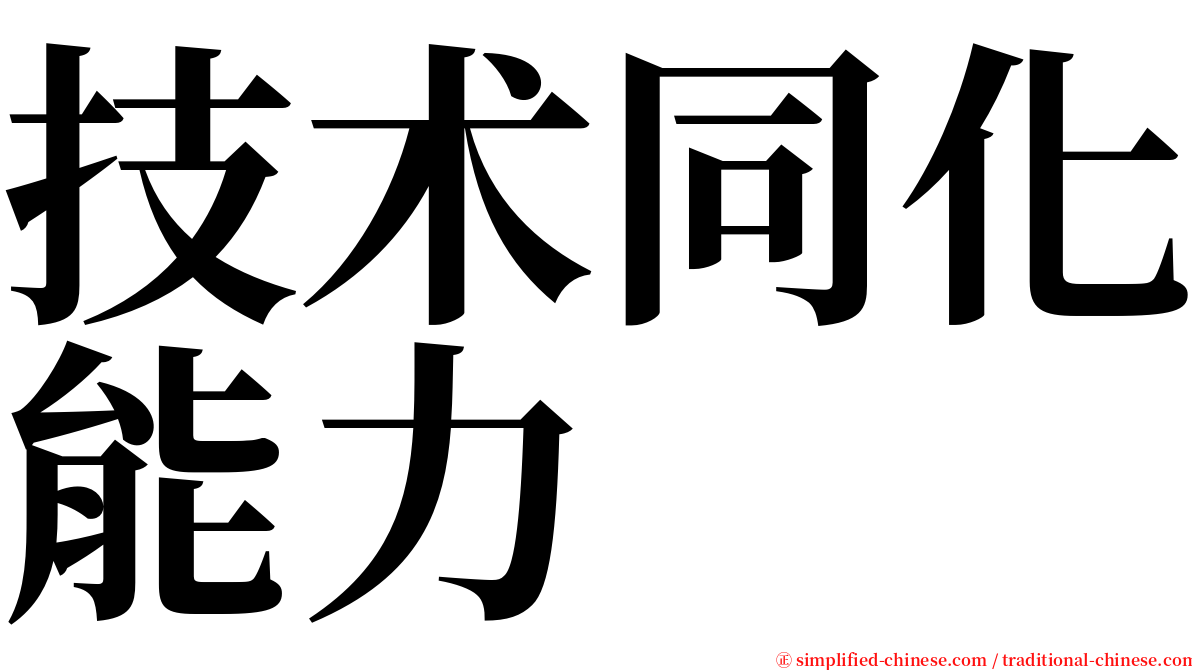 技术同化能力 serif font