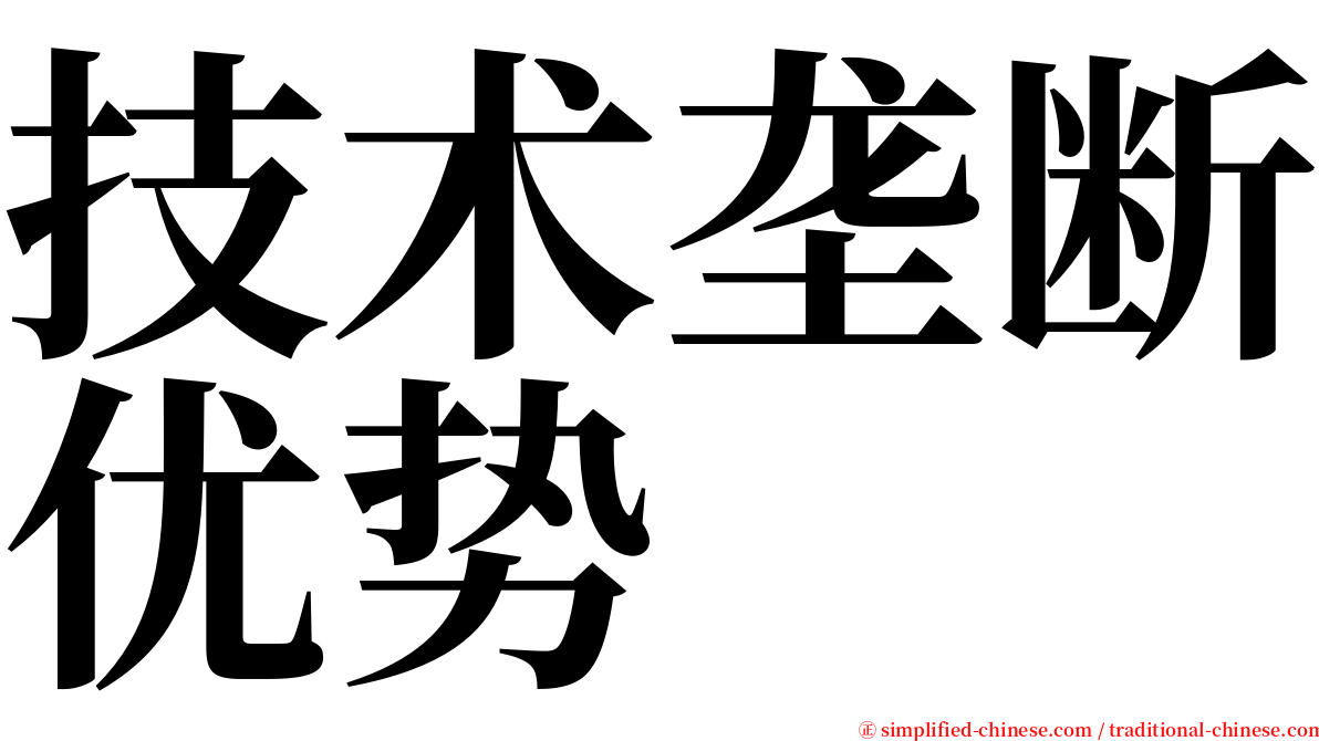 技术垄断优势 serif font