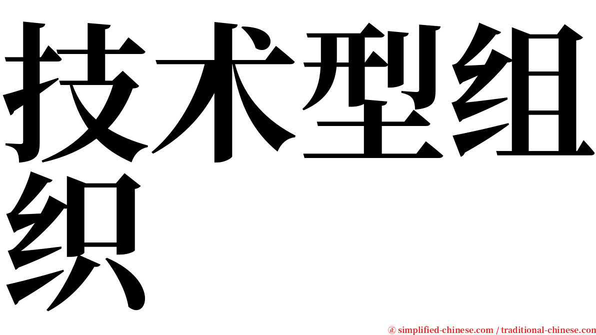 技术型组织 serif font