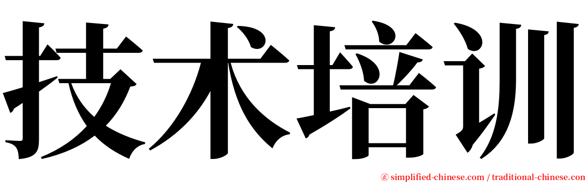 技术培训 serif font