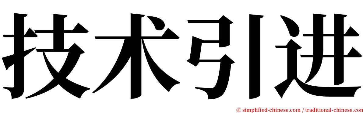 技术引进 serif font